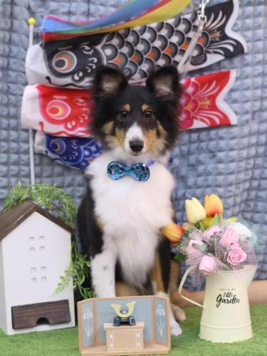 20230531ｎｏａくん